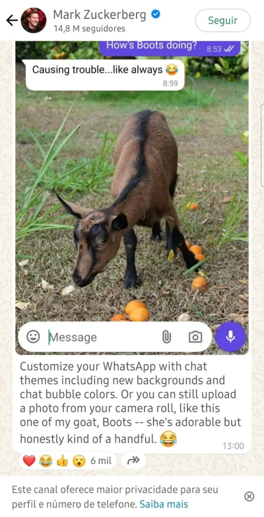 Canal-zuckerberg-523x1024 Temas de Chat do WhatsApp: Personalizar Suas Conversas com Novas Cores e Papéis de Parede